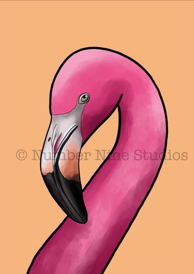 An original piece by David Harris, the Flamingo is a beautiful bird. Artwork print available in a range of sizes: A5, A3, A1 and A0.